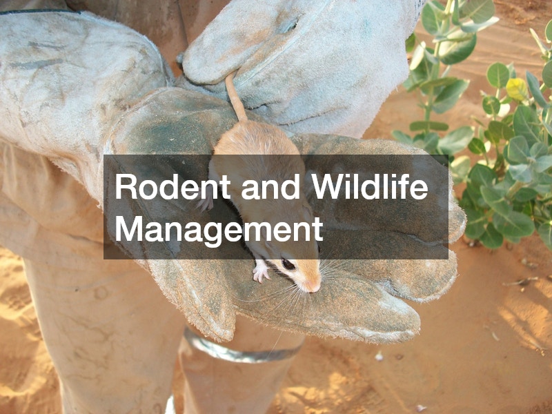 Rodent and Wildlife Management