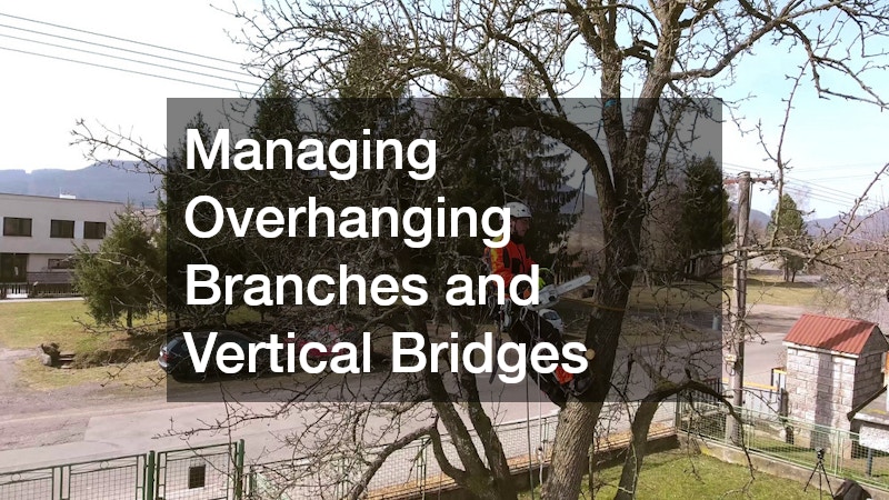 Managing Overhanging Branches and Vertical Bridges