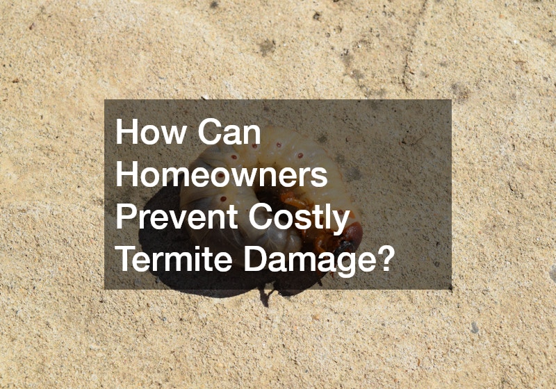 How Can Homeowners Prevent Costly Termite Damage?