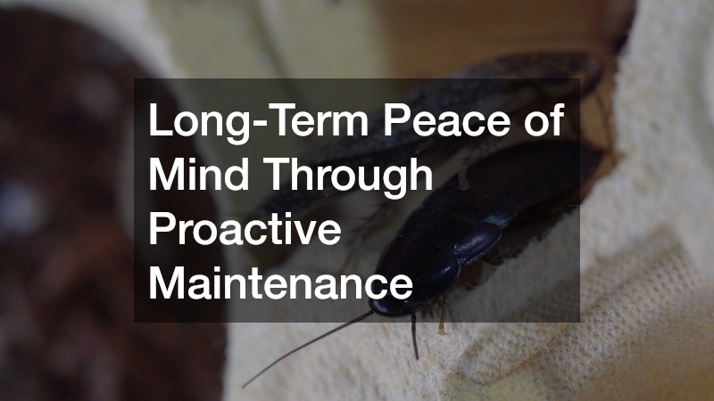 Long-Term Peace of Mind Through Proactive Maintenance