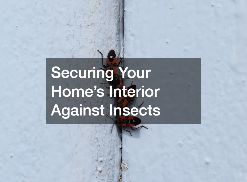 Securing Your Home’s Interior Against Insects
