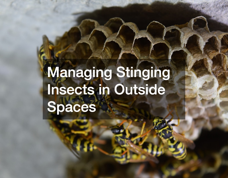 Managing Stinging Insects in Outside Spaces