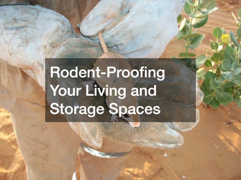 Rodent-Proofing Your Living and Storage Spaces