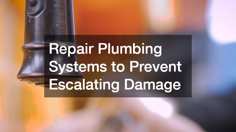 Repair Plumbing Systems to Prevent Escalating Damage