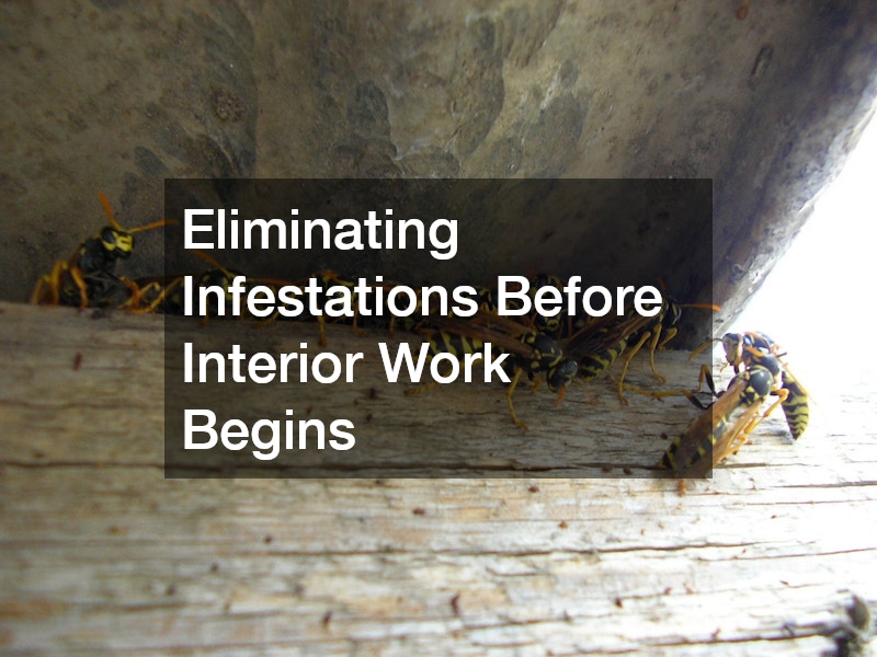 Eliminating Infestations Before Interior Work Begins