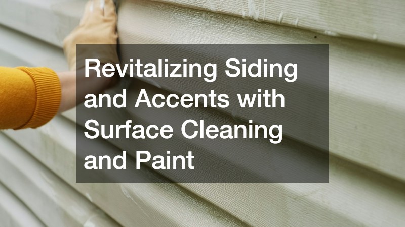 Revitalizing Siding and Accents with Surface Cleaning and Paint