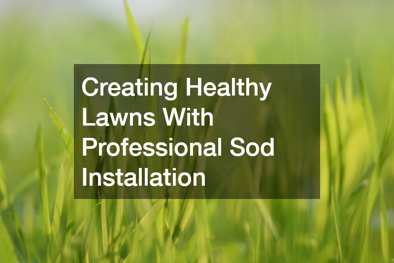 Creating Healthy Lawns With Professional Sod Installation