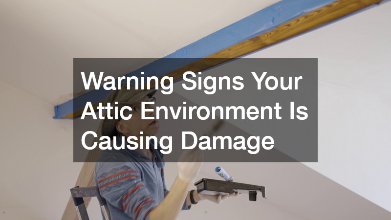 Warning Signs Your Attic Environment Is Causing Damage