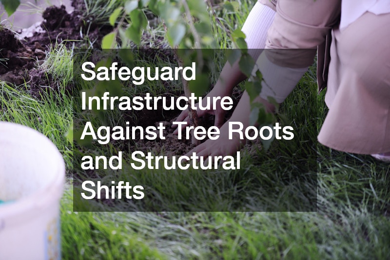 Safeguard Infrastructure Against Tree Roots and Structural Shifts