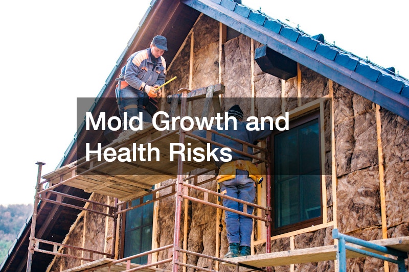 Mold Growth and Health Risks