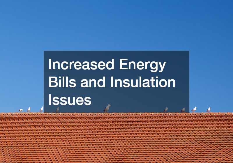 Increased Energy Bills and Insulation Issues