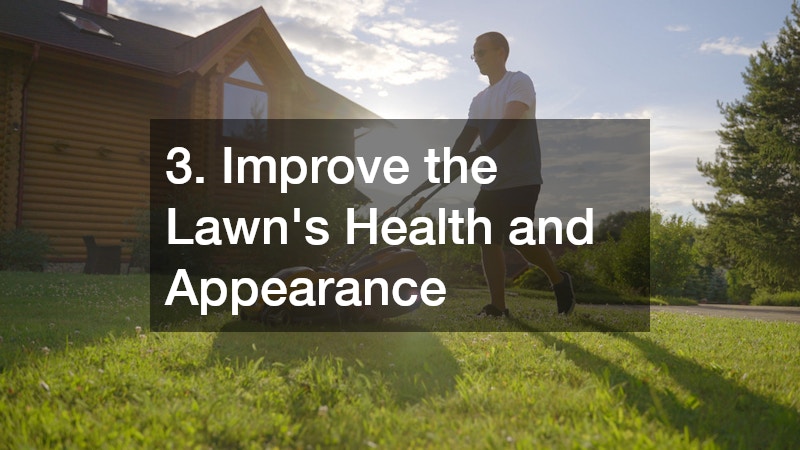 3. Improve the Lawn’s Health and Appearance