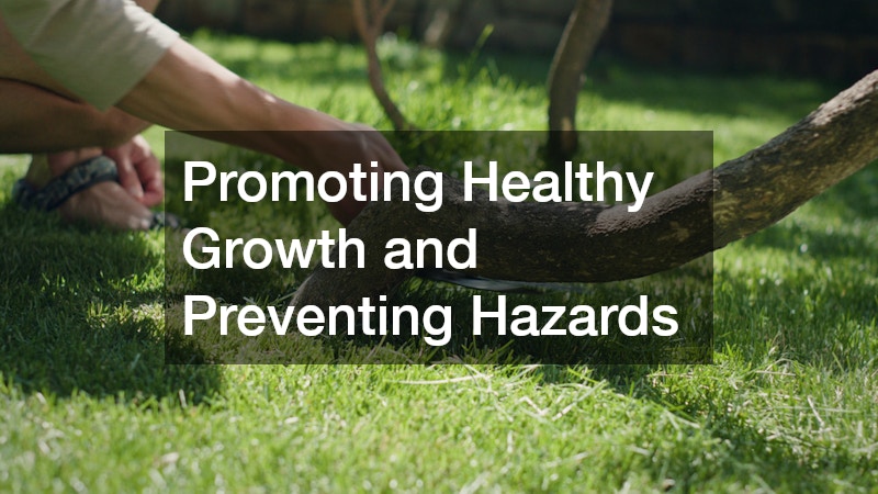 Promoting Healthy Growth and Preventing Hazards