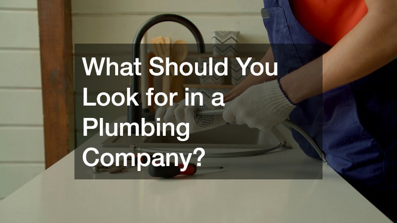 What Should You Look for in a Plumbing Company?