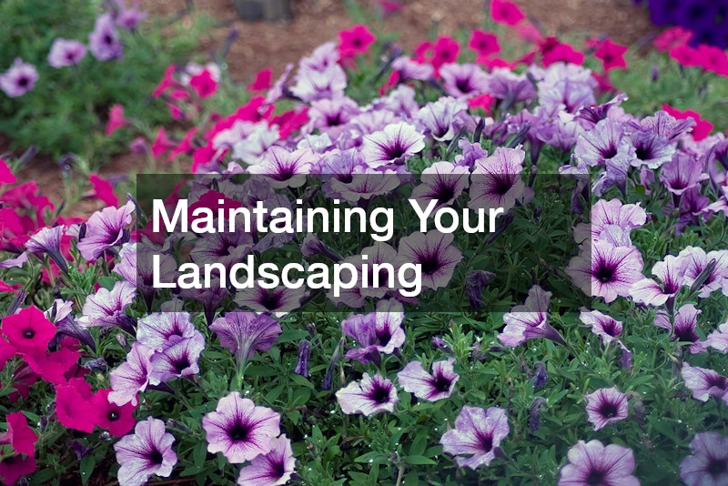 Maintaining Your Landscaping