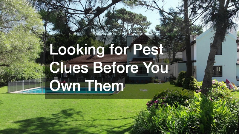 Looking for Pest Clues Before You Own Them
