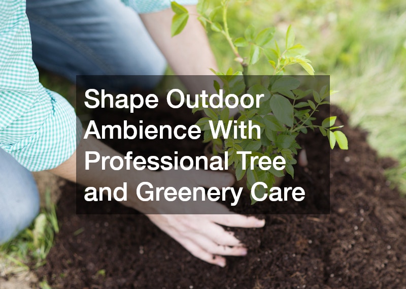Shape Outdoor Ambience With Professional Tree and Greenery Care
