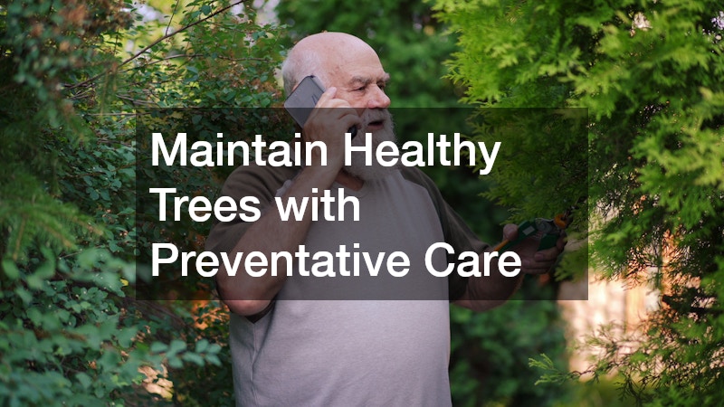 Maintain Healthy Trees with Preventative Care