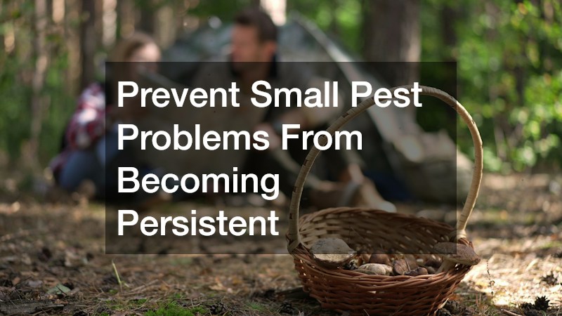 Prevent Small Pest Problems From Becoming Persistent
