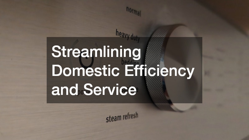 Streamlining Domestic Efficiency and Service