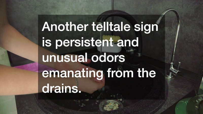 Another telltale sign is persistent and unusual odors emanating from the drains.