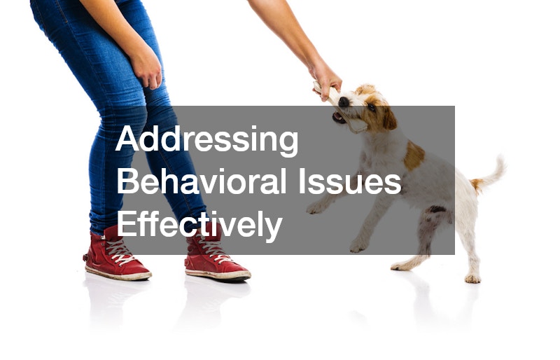 Addressing Behavioral Issues Effectively