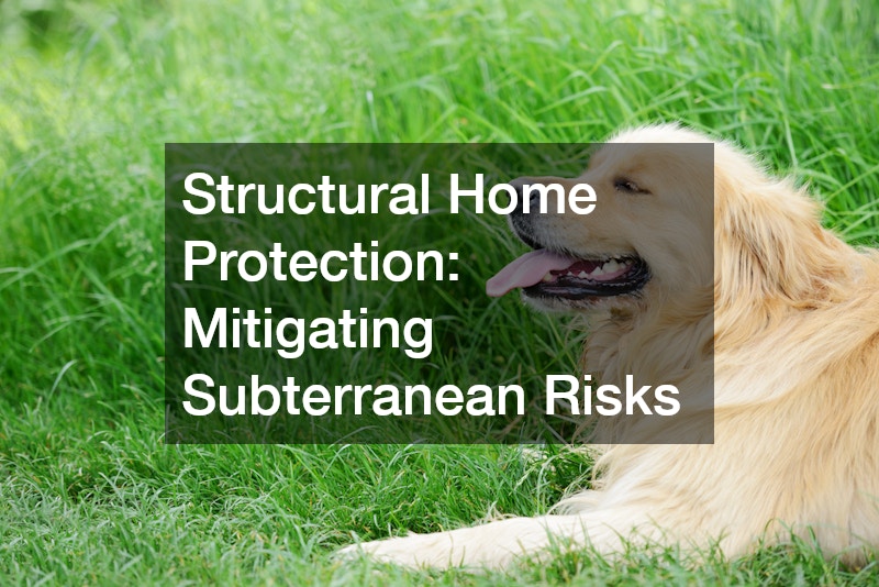 Structural Home Protection: Mitigating Subterranean Risks