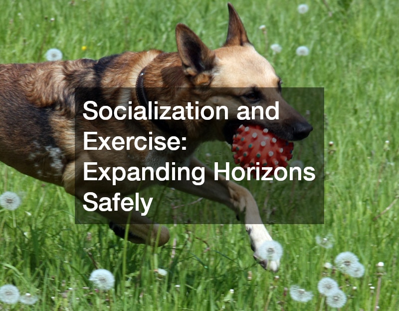 Socialization and Exercise: Expanding Horizons Safely