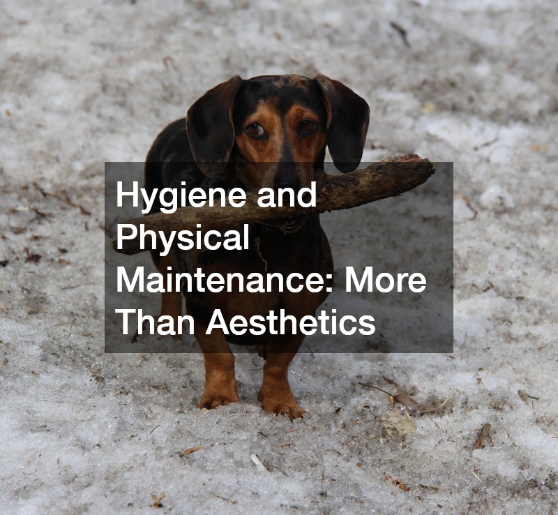 Hygiene and Physical Maintenance: More Than Aesthetics