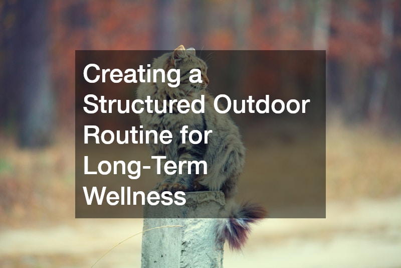 Creating a Structured Outdoor Routine for Long-Term Wellness