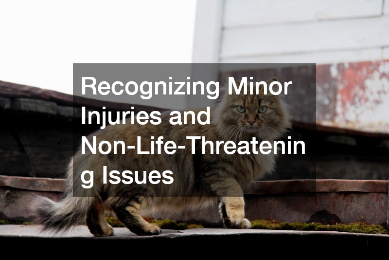 Recognizing Minor Injuries and Non-Life-Threatening Issues