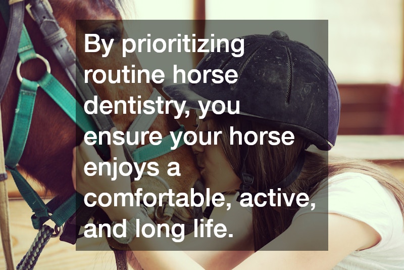 By prioritizing routine horse dentistry, you ensure your horse enjoys a comfortable, active, and long life.