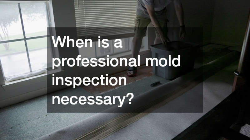 When is a professional mold inspection necessary?