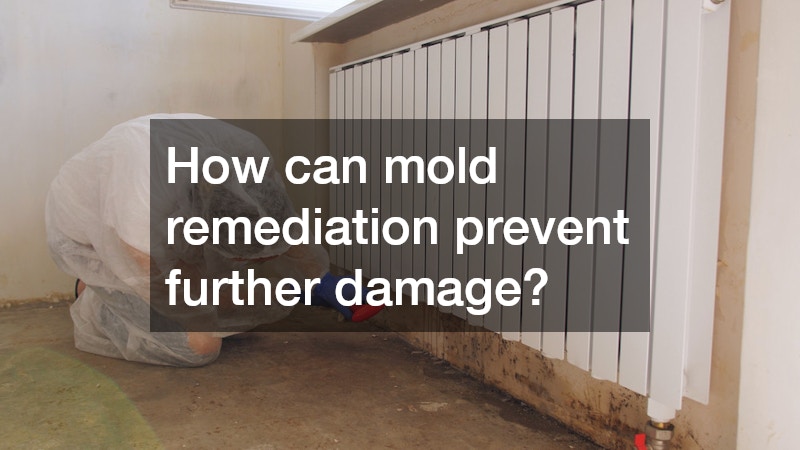How can mold remediation prevent further damage?