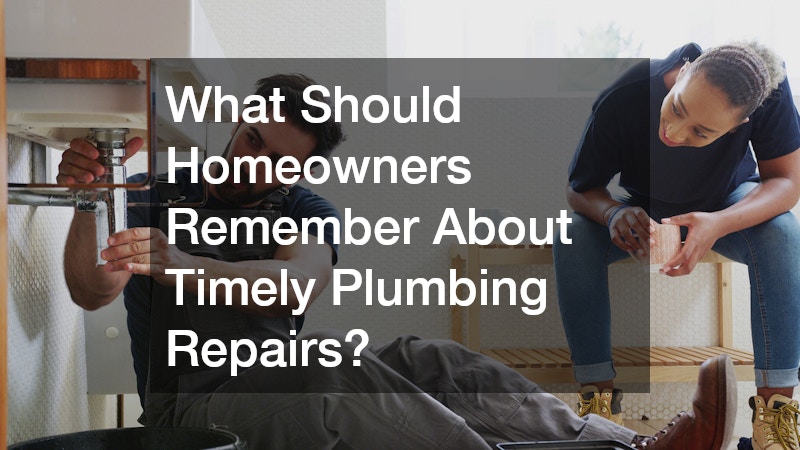 What Should Homeowners Remember About Timely Plumbing Repairs?