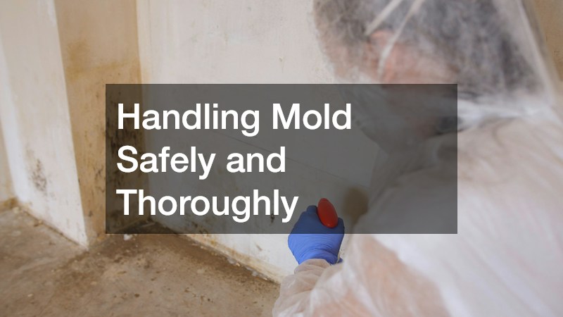 Handling Mold Safely and Thoroughly