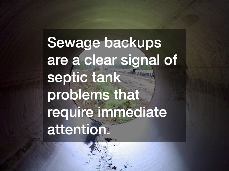 Sewage backups are a clear signal of septic tank problems that require immediate attention.