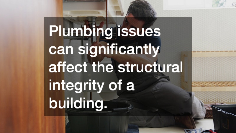 Plumbing issues can significantly affect the structural integrity of a building.