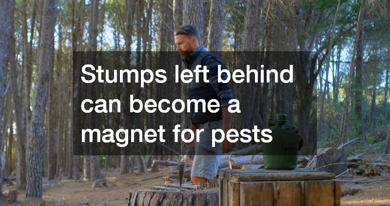 Stumps left behind can become a magnet for pests