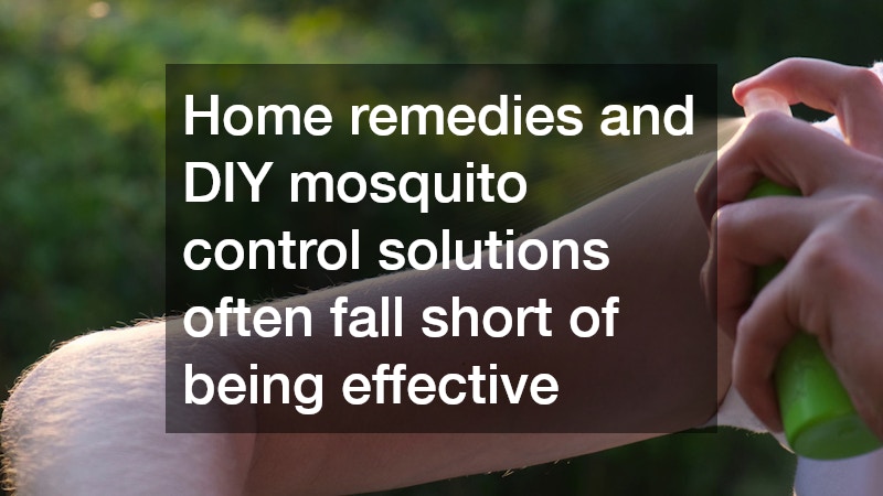 Home remedies and DIY mosquito control solutions often fall short of being effective