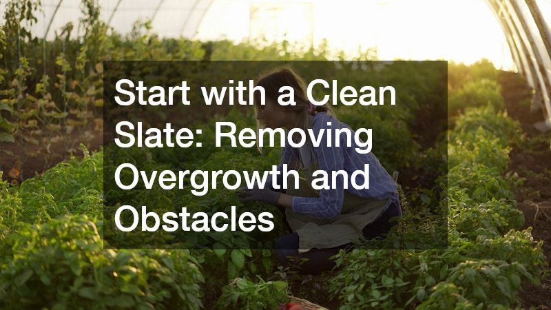 Start with a Clean Slate: Removing Overgrowth and Obstacles