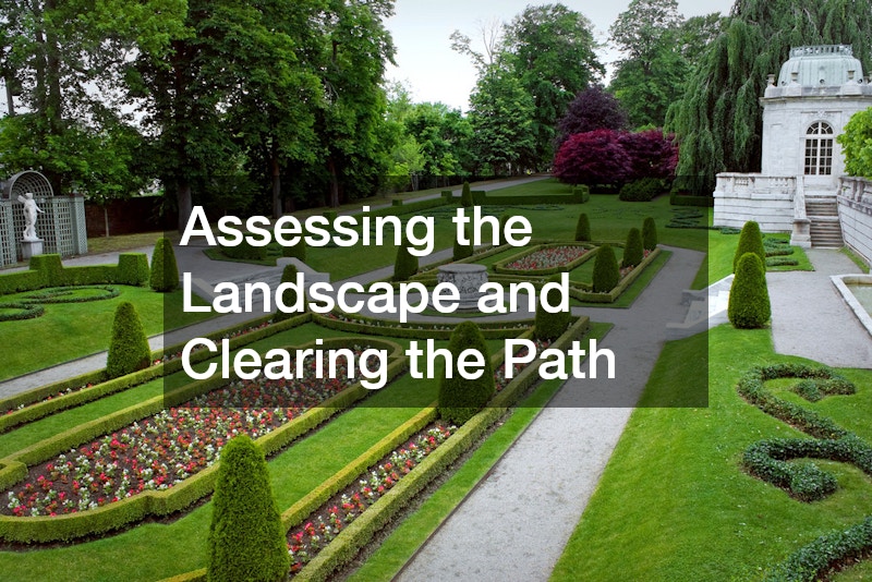 Assessing the Landscape and Clearing the Path