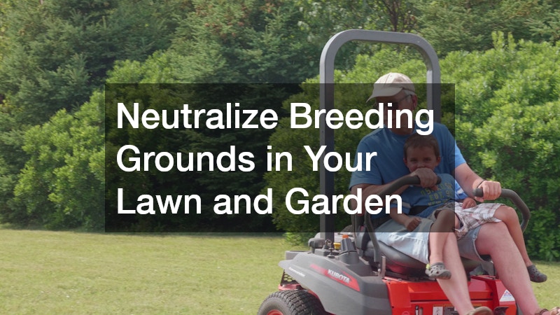 Neutralize Breeding Grounds in Your Lawn and Garden