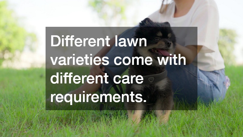 Different lawn varieties come with different care requirements. 
