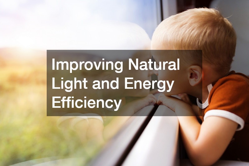 Improving Natural Light and Energy Efficiency