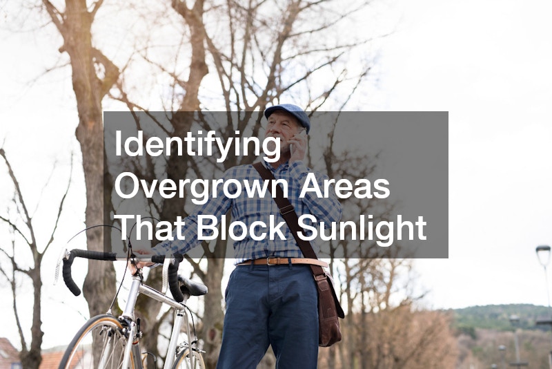 Identifying Overgrown Areas That Block Sunlight