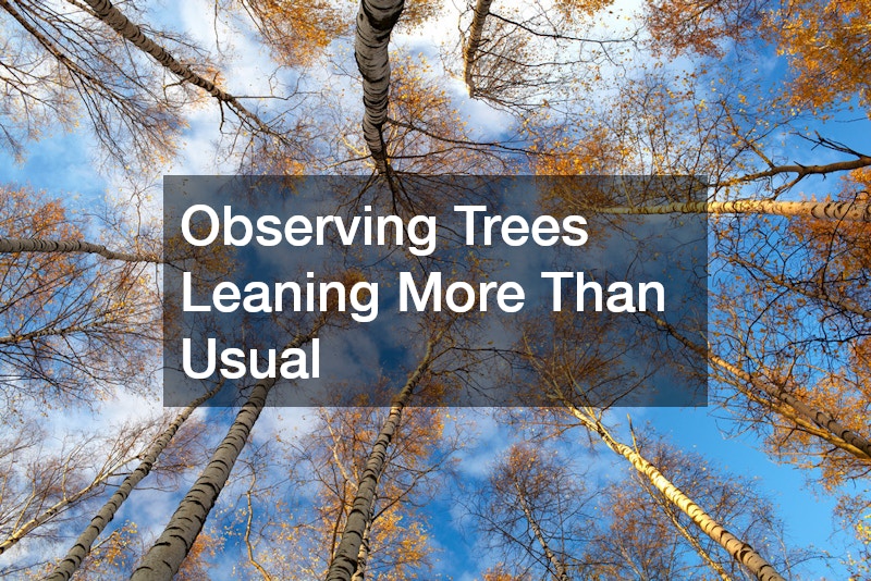 Observing Trees Leaning More Than Usual