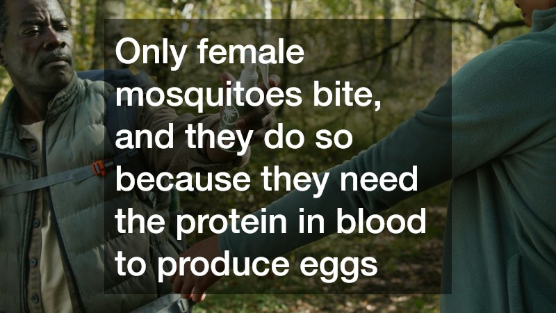 Only female mosquitoes bite, and they do so because they need the protein in blood to produce eggs