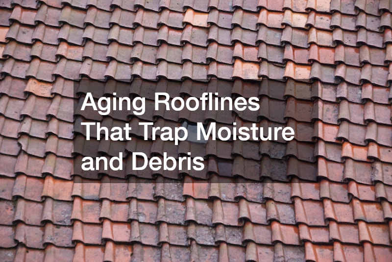 Aging Rooflines That Trap Moisture and Debris