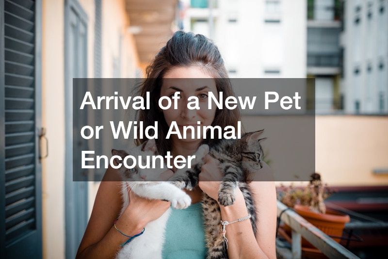 Arrival of a New Pet or Wild Animal Encounter